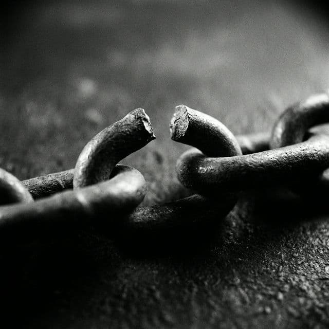 Next.js를 S3에 배포했다가 백지 화면이 떴다 (Static Export의 악몽)