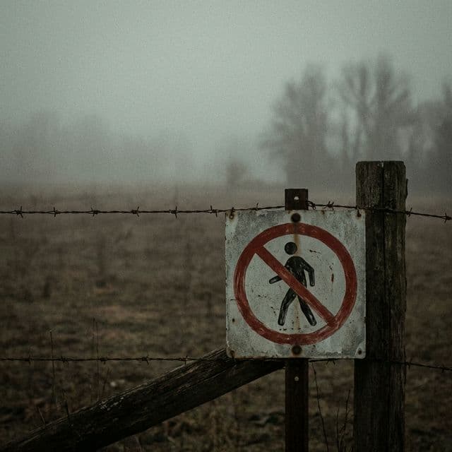 내 이미지가 다 엑박이네? (Next.js Image 보안 에러와 최적화 원리)